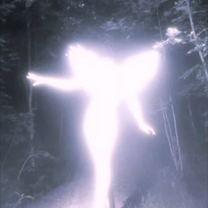 Maiah Manser, Akshara & Kate The Dreamer Presents: DREAMS & NIGHTMARES