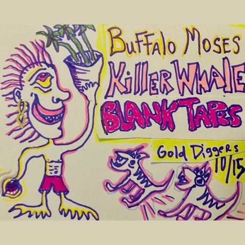 Killer Whale / The Blank Tapes / Buffalo Moses