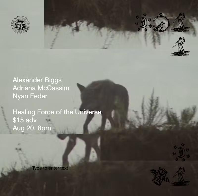 Alexander Biggs / Adriana McCassim / Nyan Feder