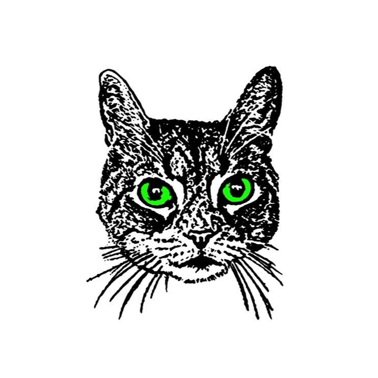 Sid The Cat