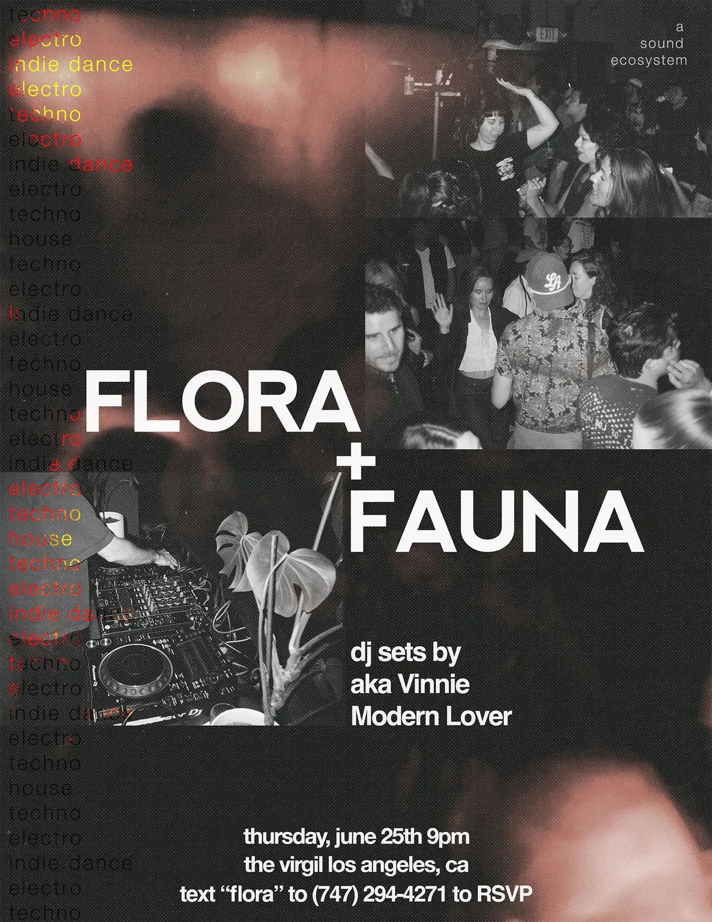 Flora + Fauna / aka Vinnie / Modern Lover
