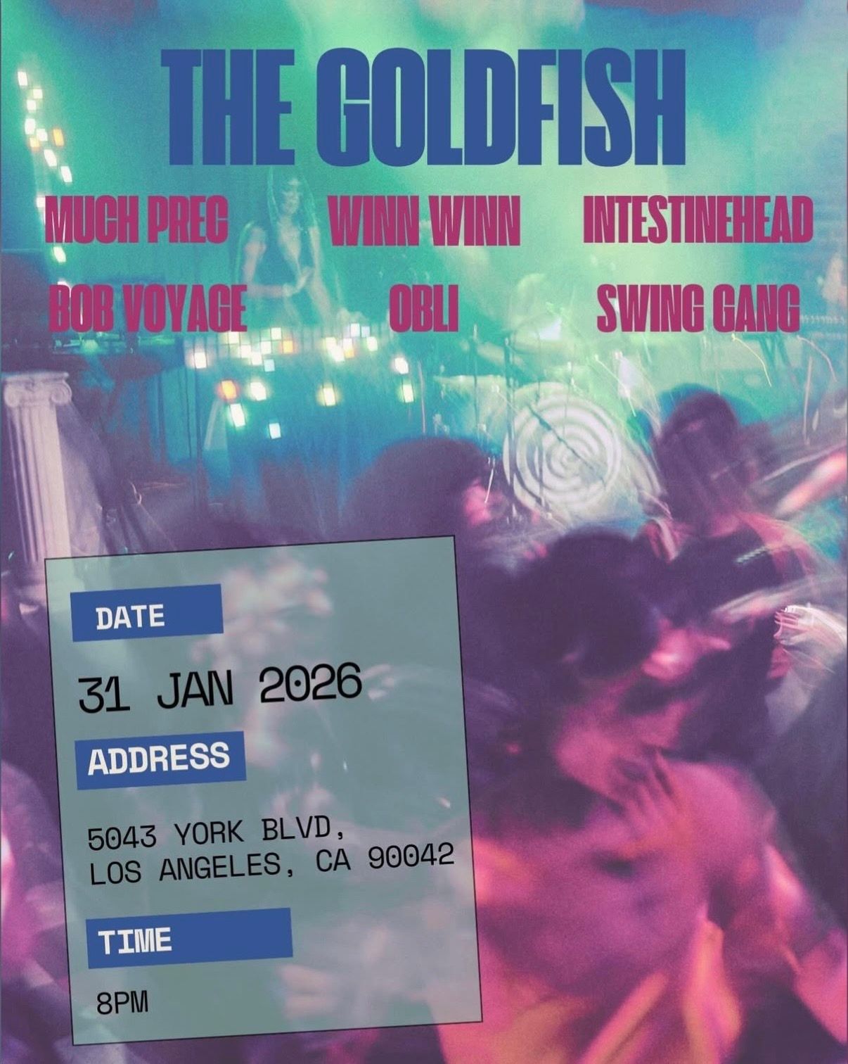 Much Preg / Winn Winn / Intestinehead / Bob Voyage / Obli / Swing Gang