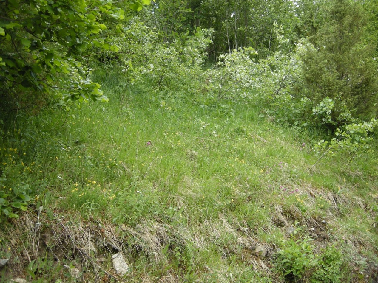 Sterkt endret mark Sterkt endret mark