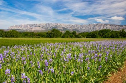 Montagne Ste Victoire