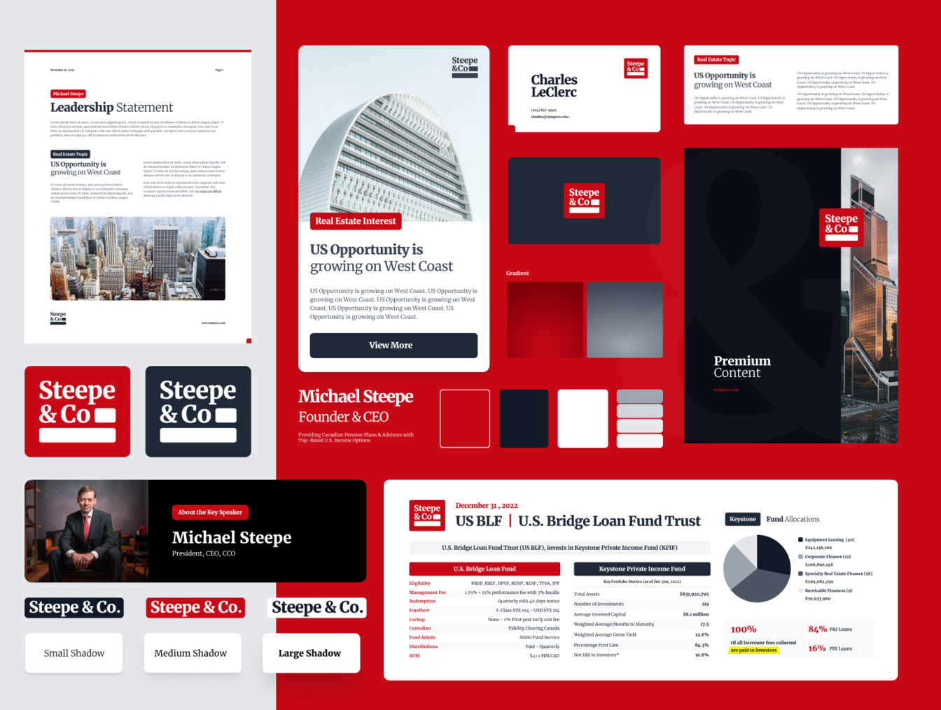 Steepe & Co brand identity system — logo lockups, colour palette and report layouts in red and black
