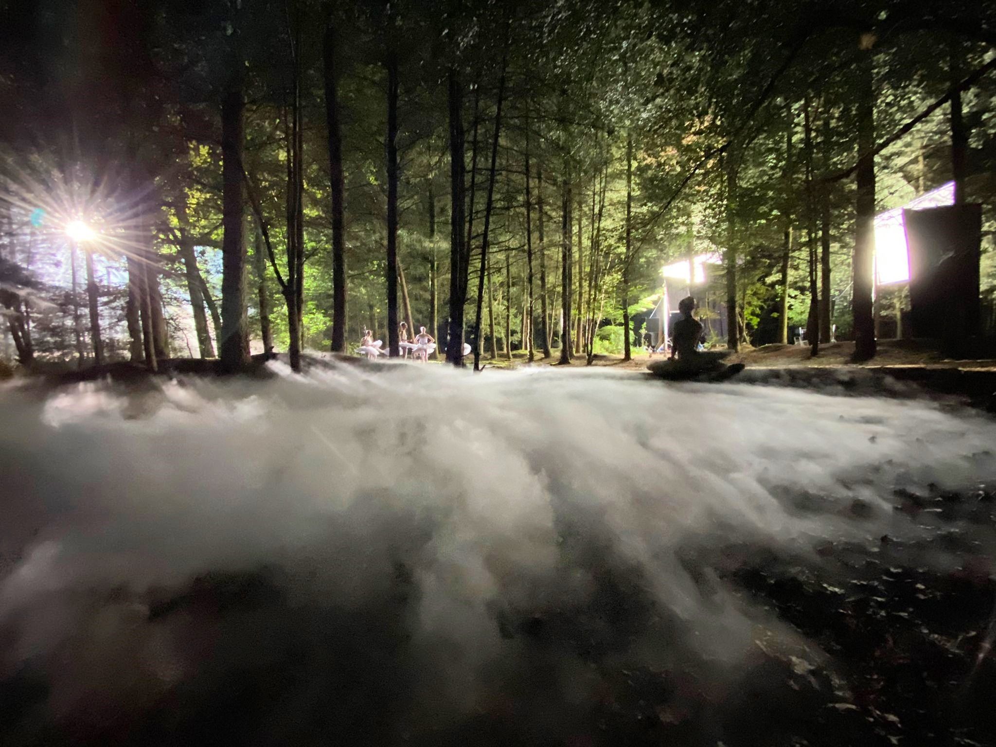 Een mist tapijt die over de grond van een bos kruipt