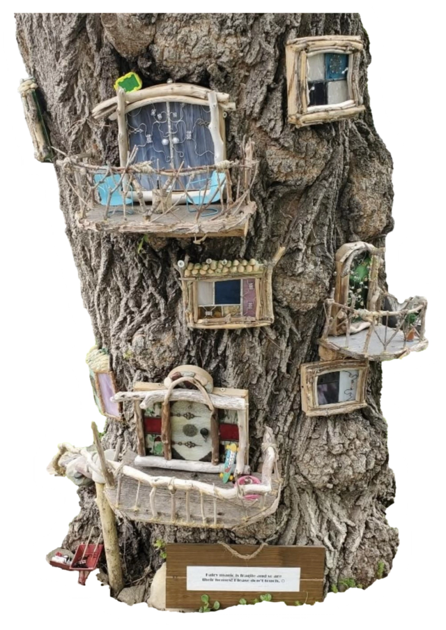 Inglewood Fairy Tree