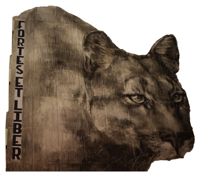 Forteset Liber
