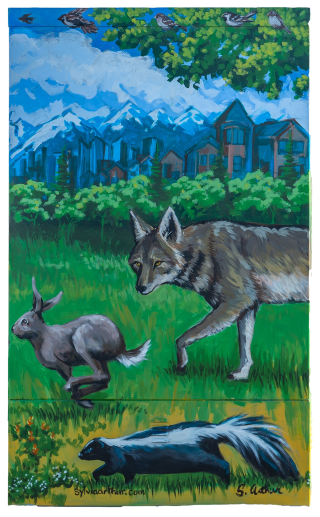 Wildlife in Forest Lawn