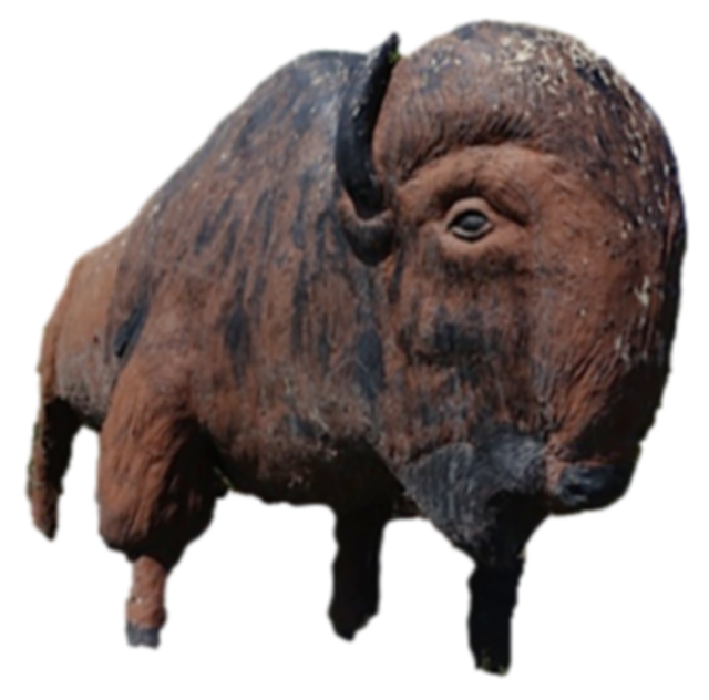 Calgary Brewery - Bison Sculpture
