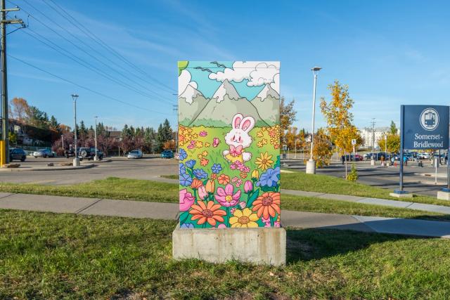 Somerset Bridlewood Community Association