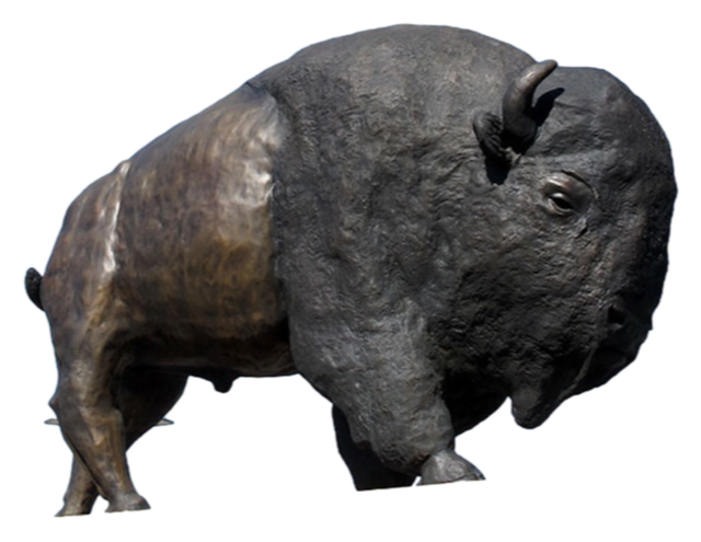 Iini Bison Heart