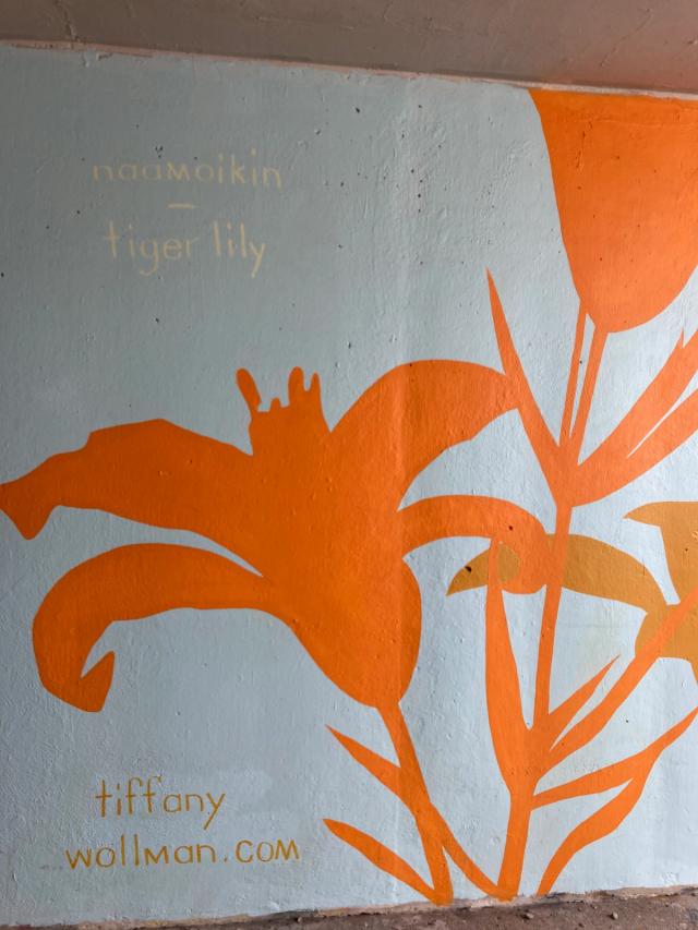 Tiffany Wollman