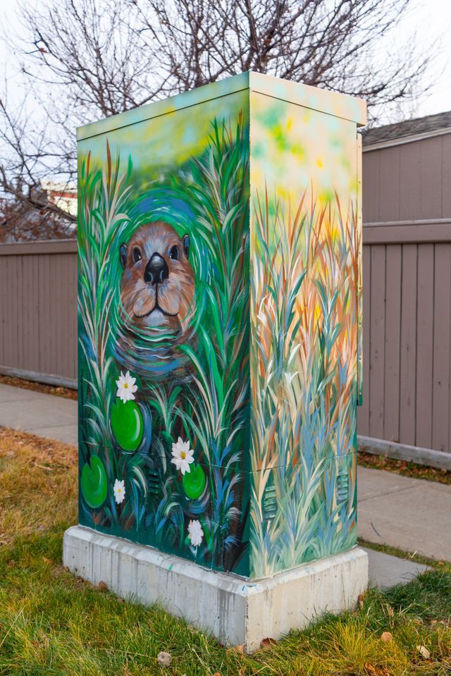 Shawnee Evergreen Community Association