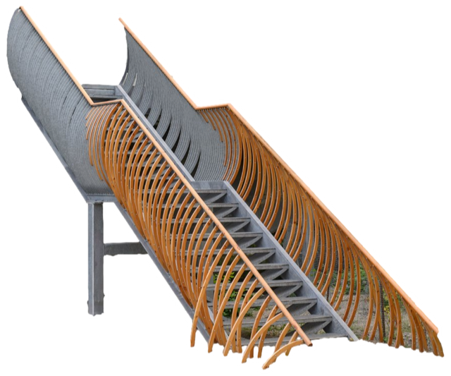 Fish Ladder