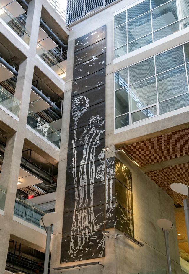 U of C Alumni Association
