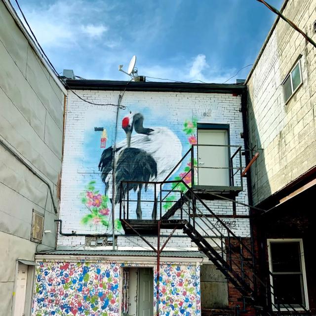 The New Gallery