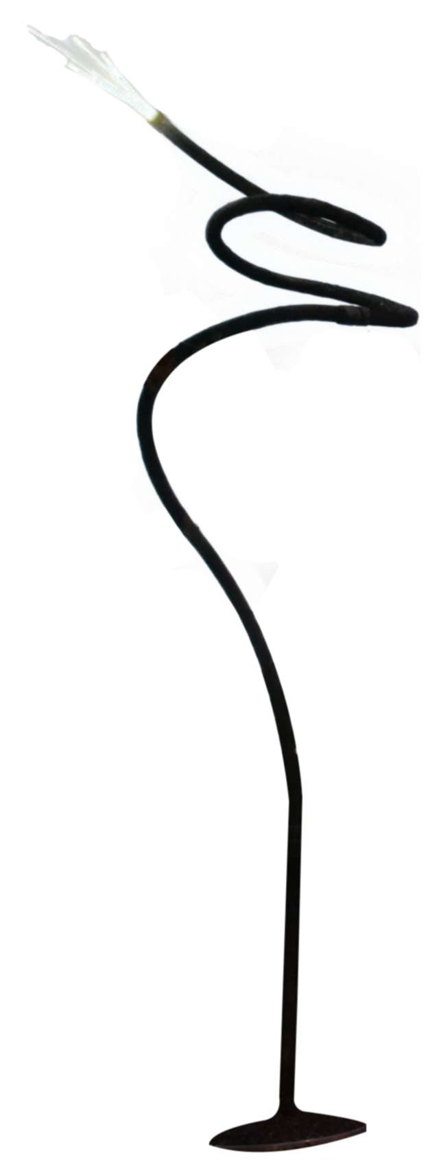 Charged Line