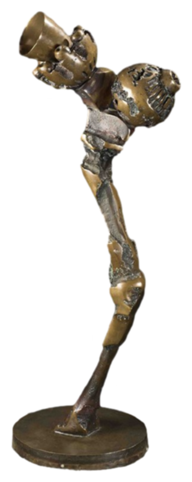 Bronze Spaceflower