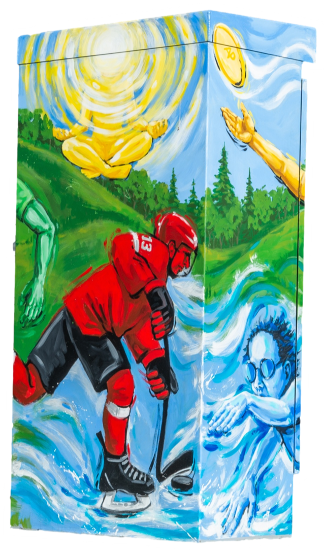 Field of Sport