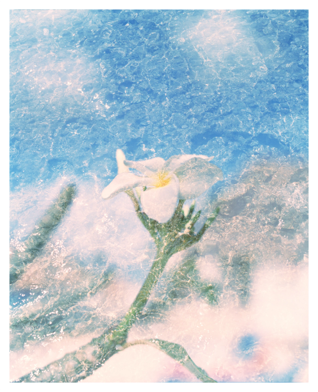 Tenderly