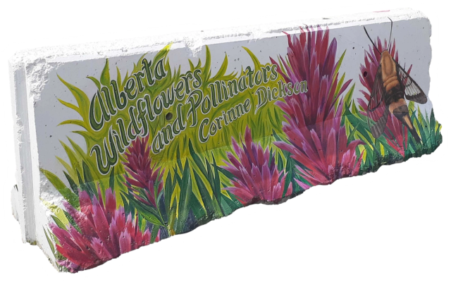 Pollinator Park