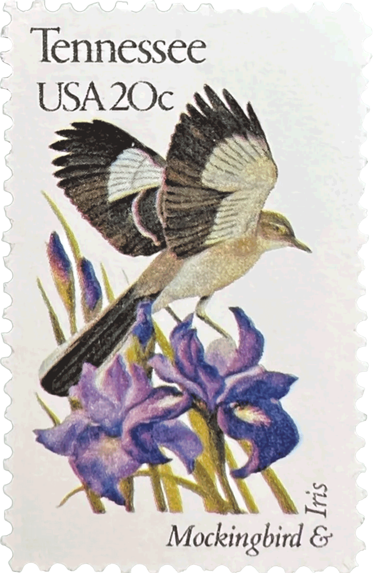 stamp showing a mockingbird & iris