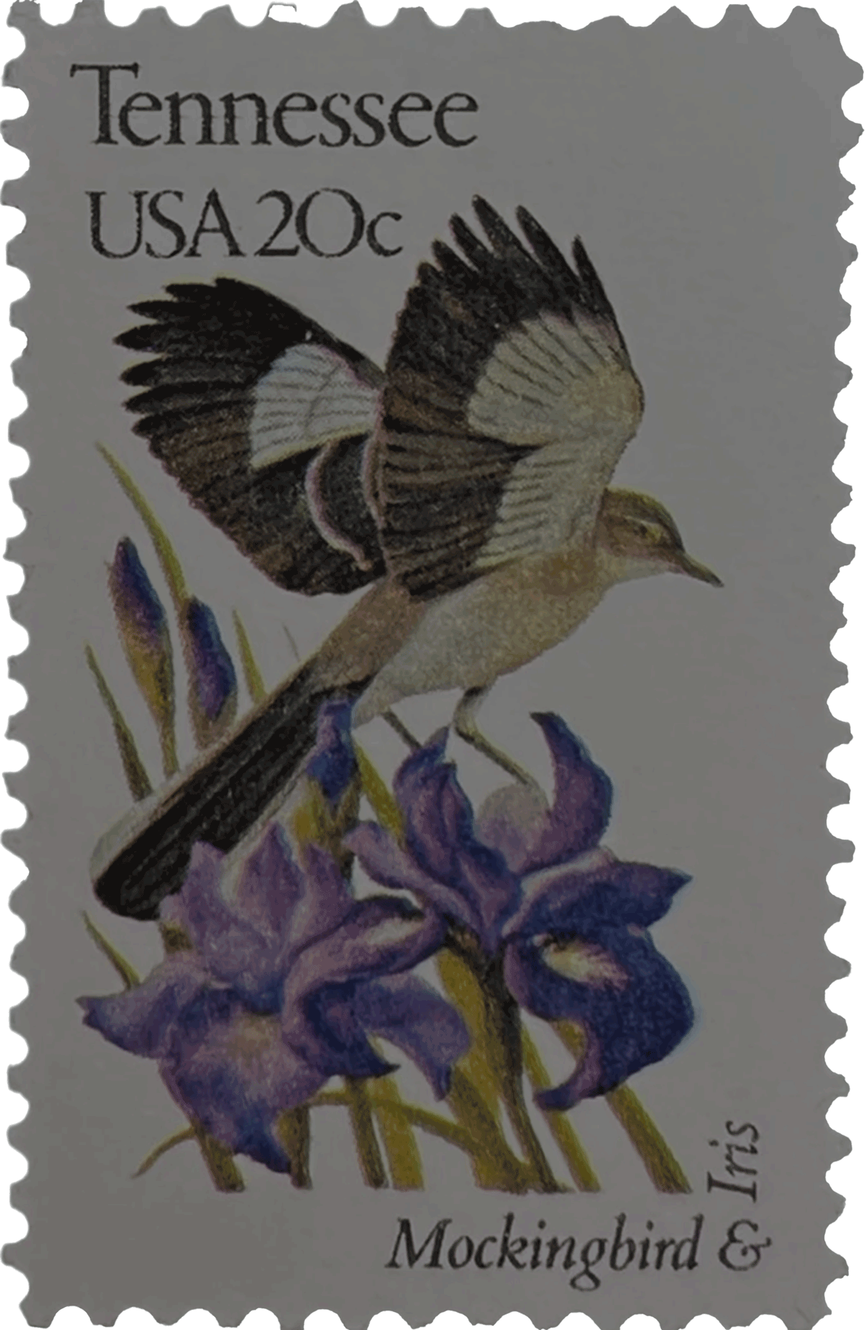 stamp showing a mockingbird & iris