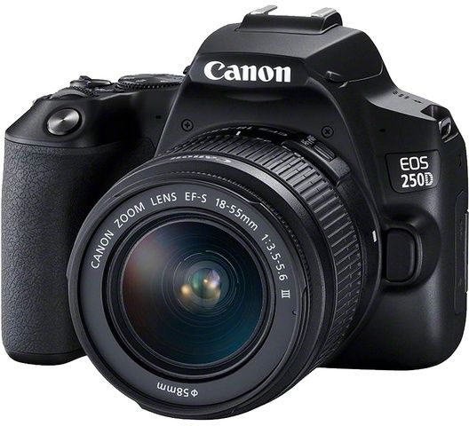   Canon EOS 250D DSLR Camera with EF-S 18-55mm f/4-5.6 IS STM Lens