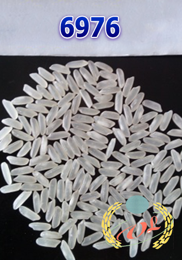 Rice 6976