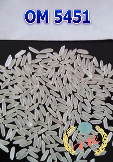 Rice OM 5451