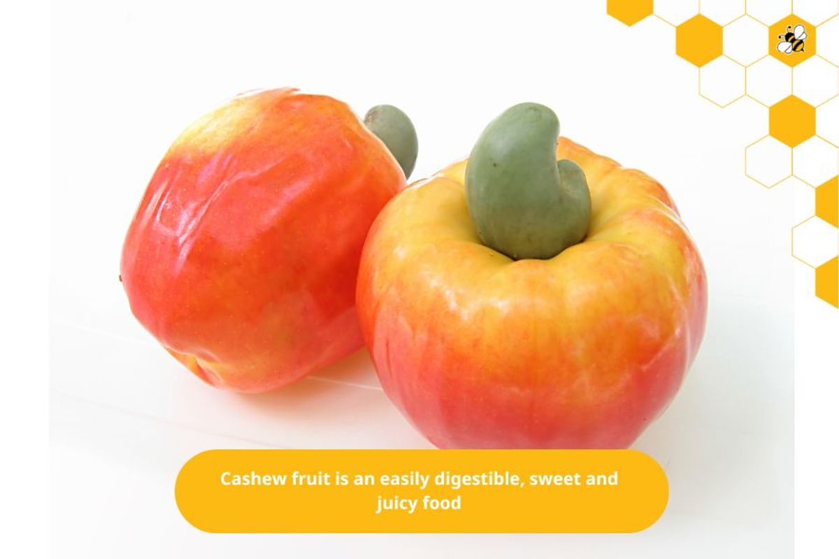 Cashew fruit is an easily digestible, sweet and juicy food