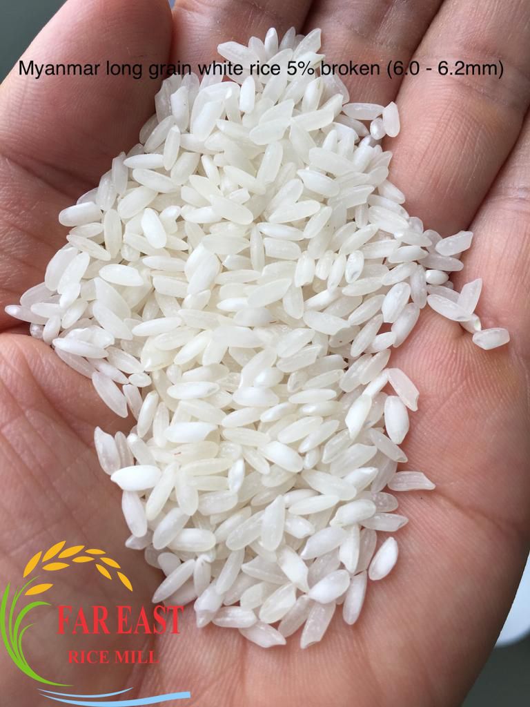 Myanmar Short-Grain Rice