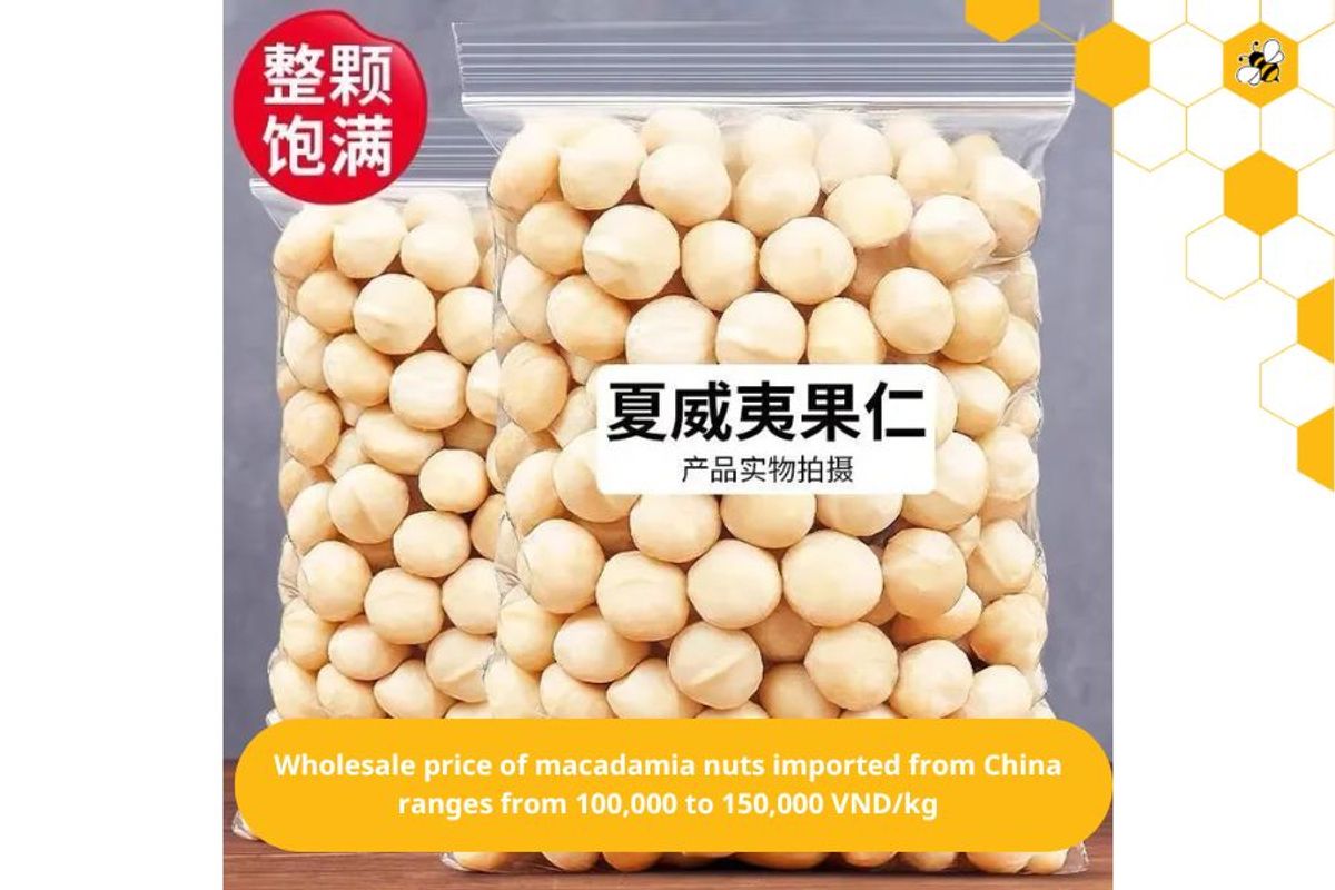 Wholesale price of macadamia nuts imported from China ranges from 100,000 to 150,000 VND/kg