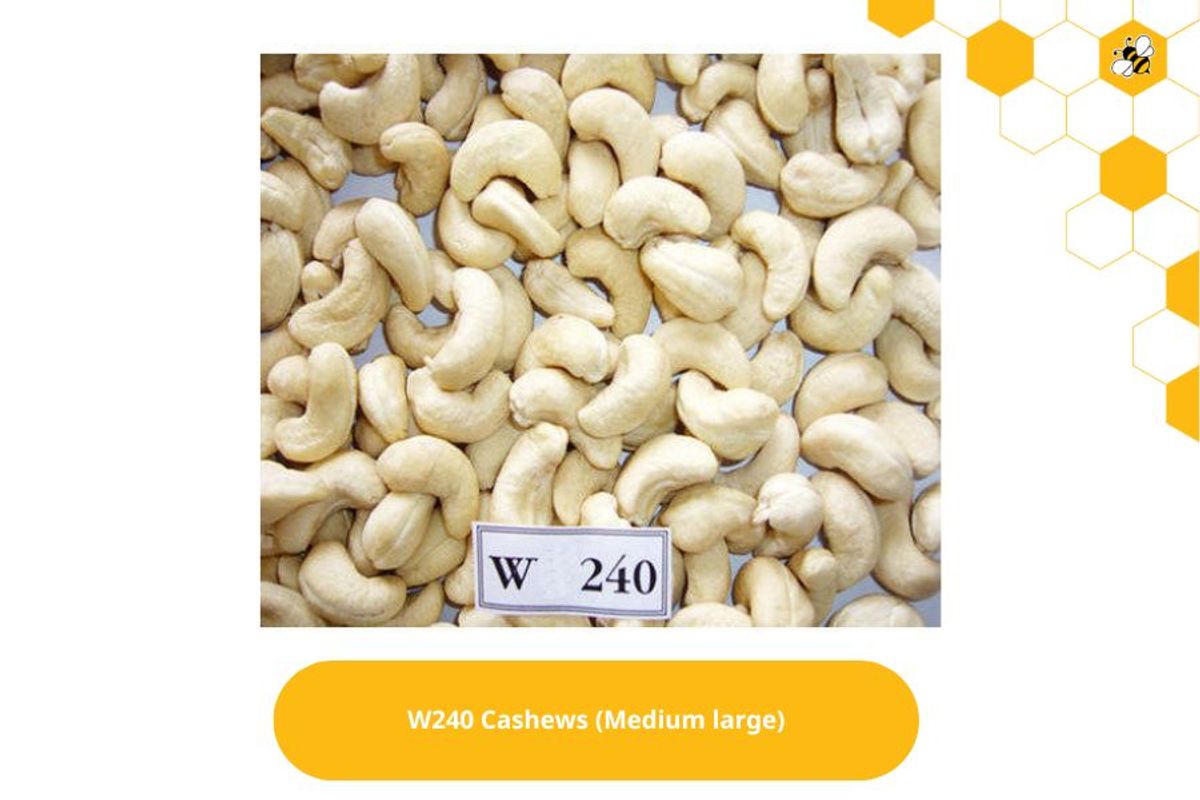 W240 Cashews (Medium large)