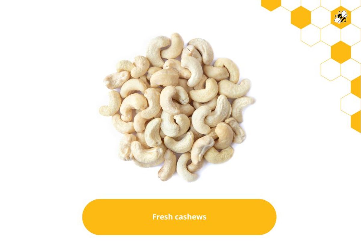 Fresh cashews