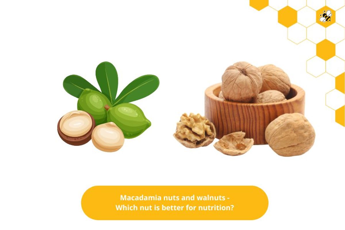 Macadamia nuts and walnuts - Which nut is better for nutrition?