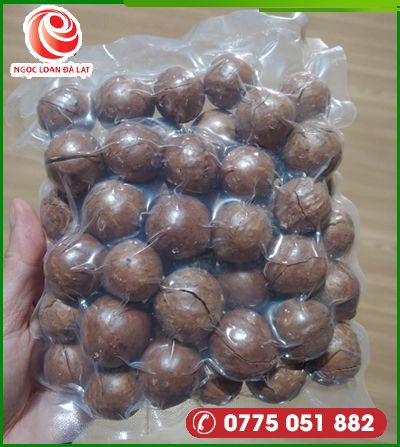 Macadamia Nuts