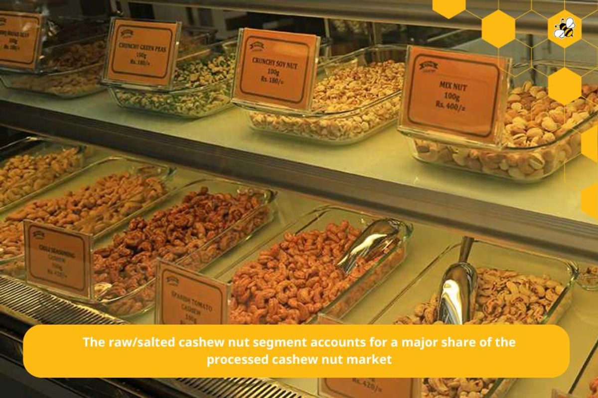 The raw/salted cashew nut segment accounts for a major share of the processed cashew nut market