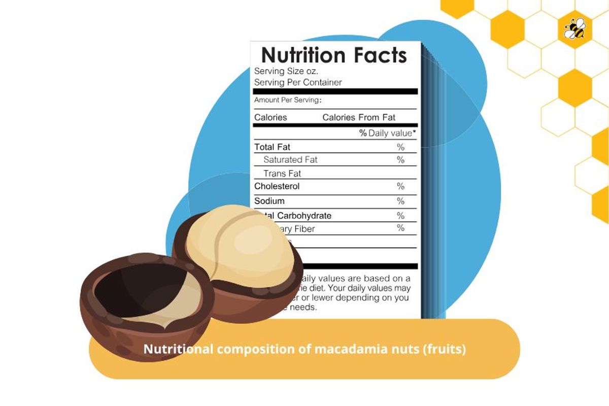 Nutritional composition of macadamia nuts (fruits)