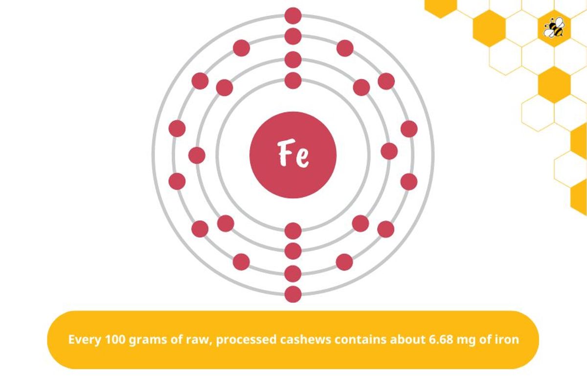 Every 100 grams of raw, processed cashews contains about 6.68 mg of iron