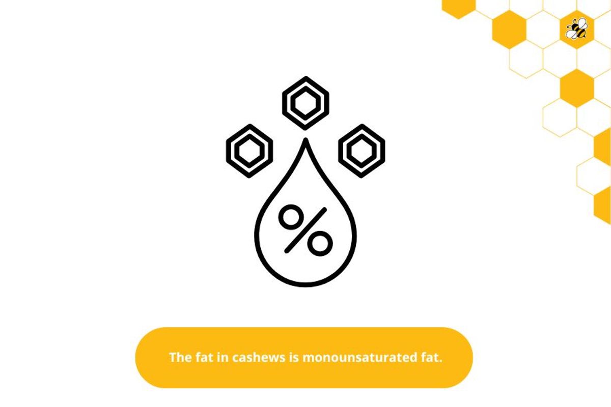 The fat in cashews is monounsaturated fat.