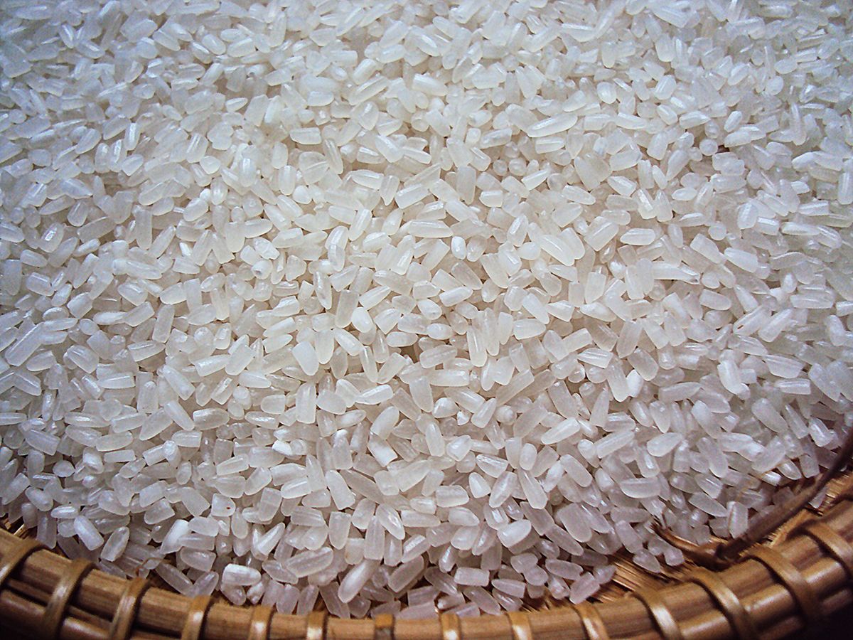 Vietnam Fragrant rice 100% Broken