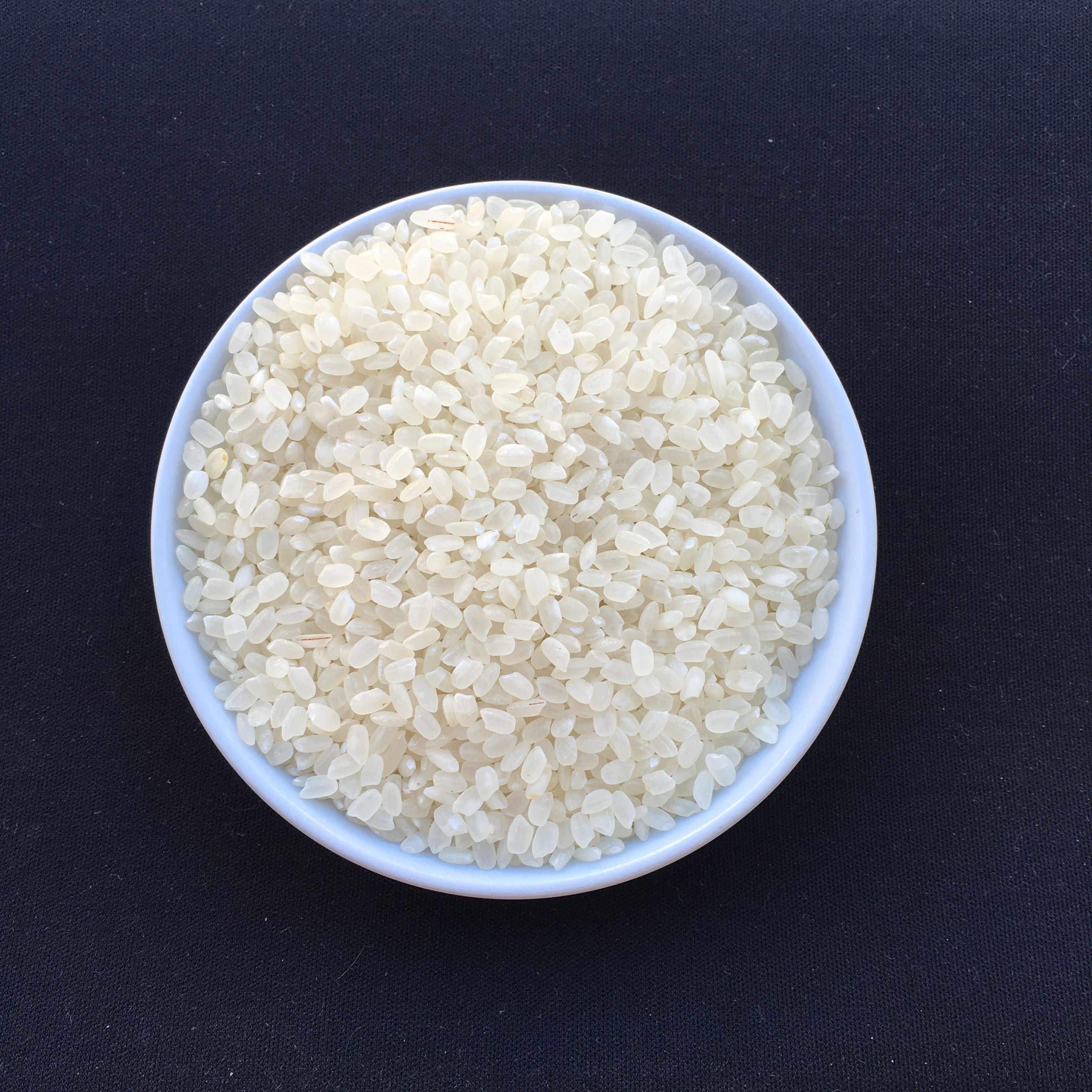 Japonica rice