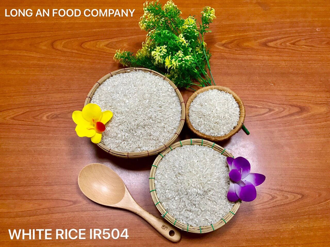 RICE IR50404