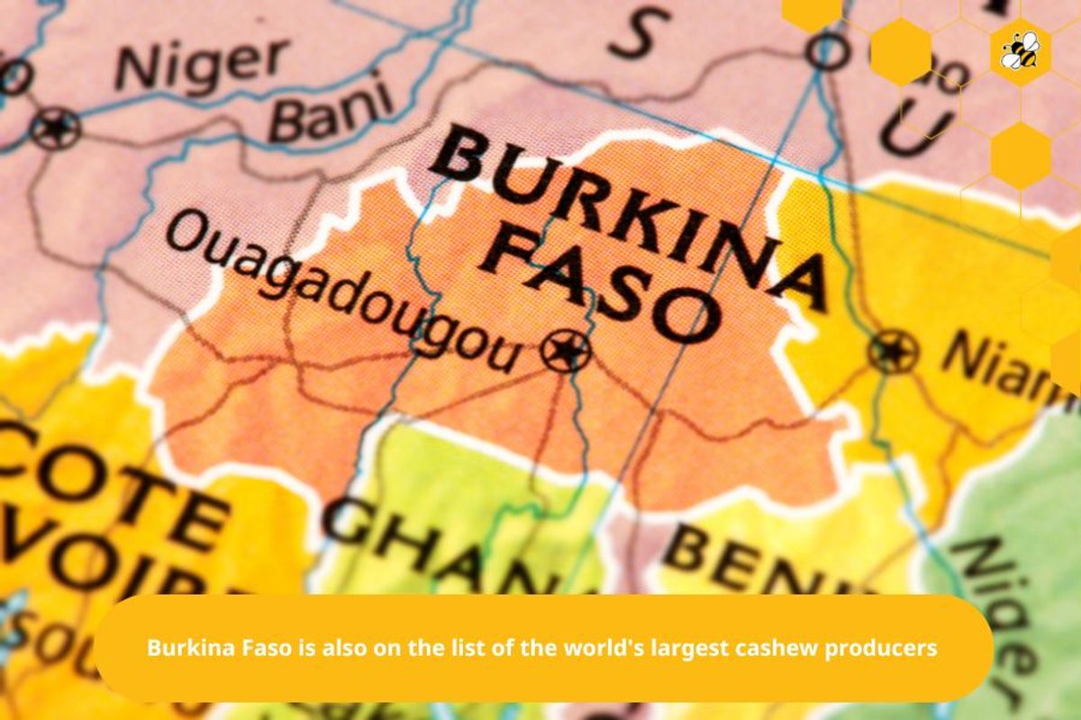 Burkina Faso is also on the list of the world's largest cashew producers