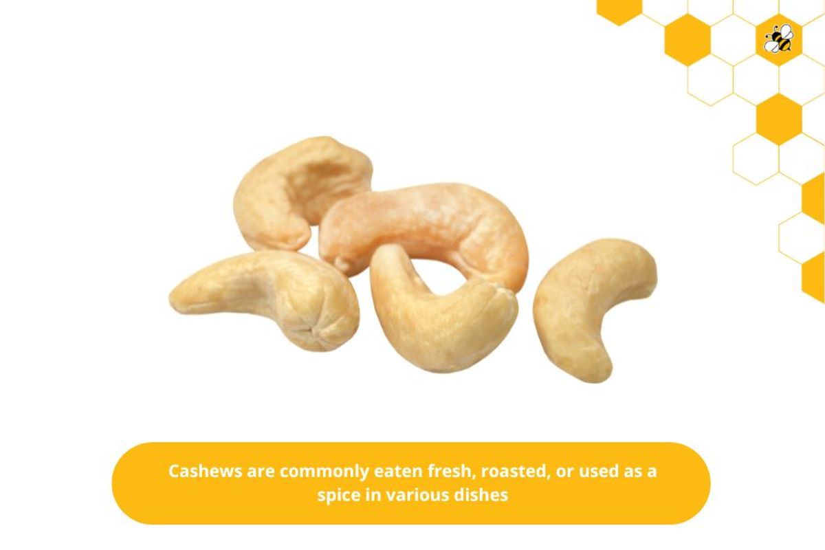 Cashews are commonly eaten fresh, roasted, or used as a spice in various dishes