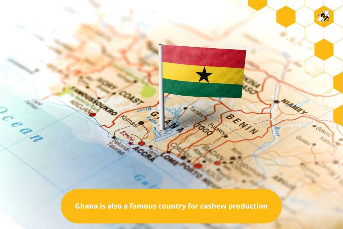 Ghana is also a famous country for cashew production