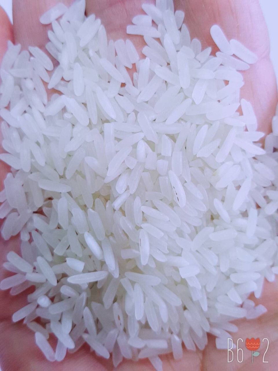 Thai White Rice