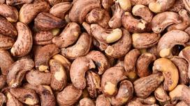 Do cashews have shells? The hard outer shell and the silken shell